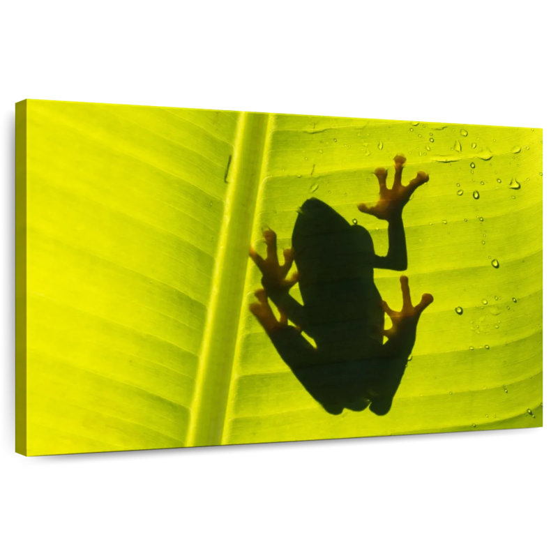 Frog On Leaf, 26" H x 39" W