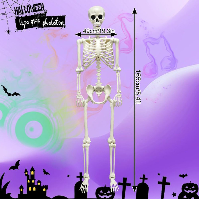 Squelette d'Halloween pleine grandeur de 5,4 pi, squelette posable grandeur nature avec yeux brillants, son effrayant, squelette en plastique avec joints articulés pour la décoration d'Halloween