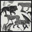 Roaming Print by Richard Ryder-997320280
