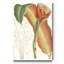 Reproduction d’art sur toile tendue « tropical Variety VII »-118216718