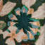 Rhapsody Arioso Print Fabic-272872420