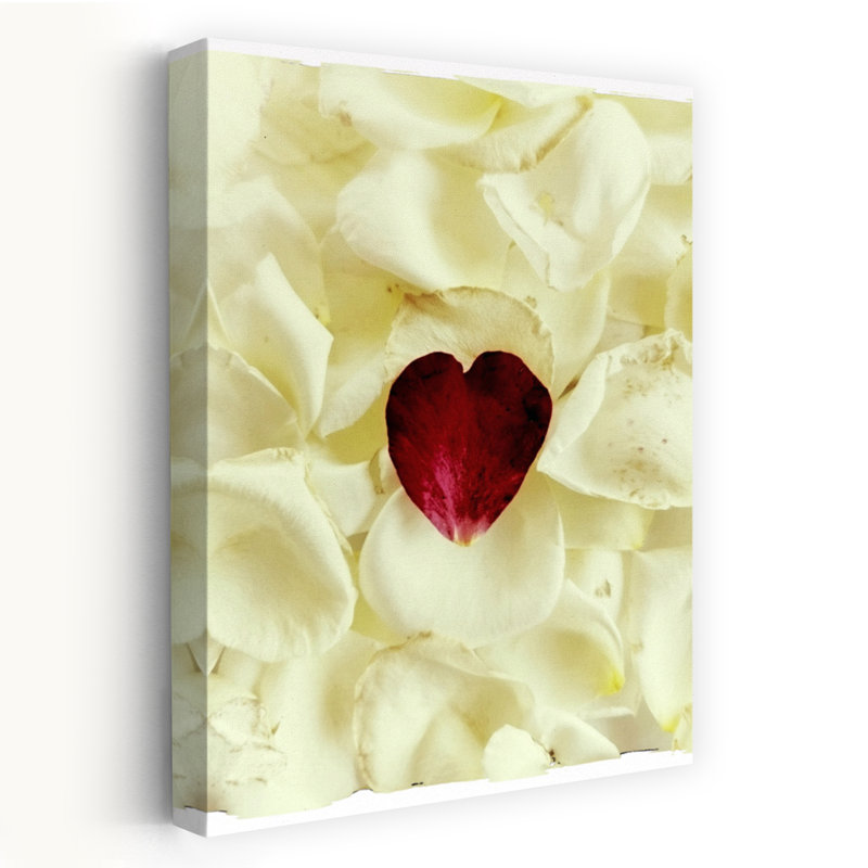 Contemporary Art Modern Organic Romantic Nature Flower Wall Art by Angelo Cerantola - Wrapped Canvas Print