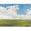 Lands Scape II Painting by Natasha Marie-26936022-26936024