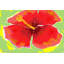 Arthur Pina - Wrapped Canvas Painting-19914659