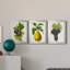 Antique Fruit VI - ensemble de 3 impressions sur toile encadrées-227612694-227612693