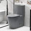 Une toilette avec double chasse d'eau 001. Siège à fermeture en douceur 1,1 / 1,6. Eau, bol allongé. Hauteur, en céramique grise Chasse, hauteur. Pour la catégorisation