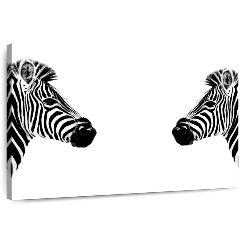 Brampt Zebras Face To Face, 34" H x 51" W