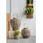 13.78'' H Tabletop Lantern
