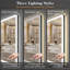 Lunara Independent Dual Backlit&Front Lights LED Wall Mirror, Rounded Corner Matte Black Metal Framed Bathroom Mirror with Tempered Glass-2076616802