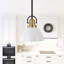 Luminaire suspendu à intensité variable 1-E26 Classic