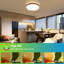 Slim 40cm Round LED Ceiling Light