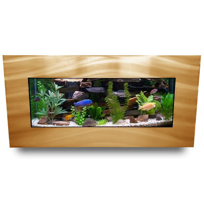 Angelica 5 Gallon Rectangle Aquarium Tank