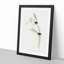 Emu Wrens by Elizabeth Gould - Picture Frame Painting Print-55539520-55539521