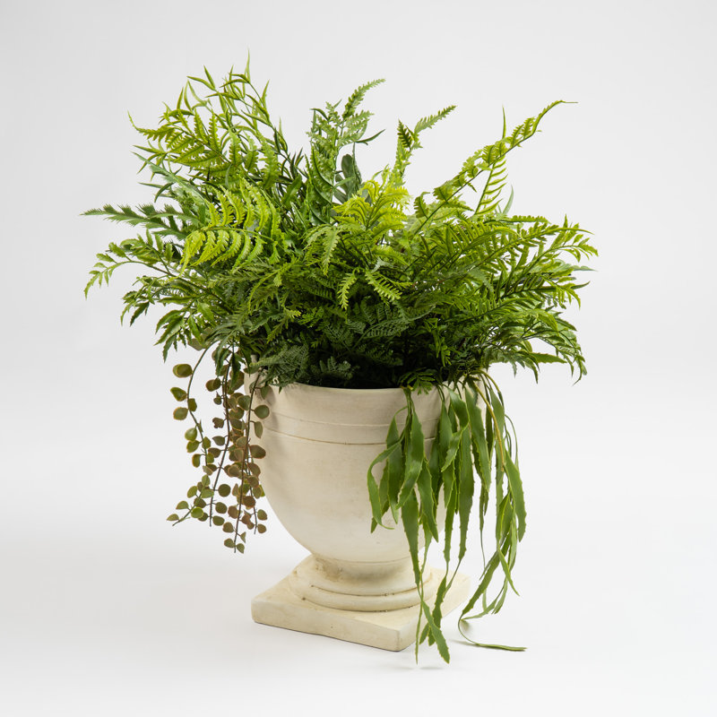 Antavia 70 cm H Faux Foliage Plant in Cement Urn