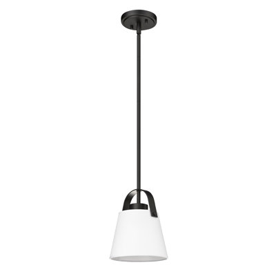 1 - Light Shaded Pendant