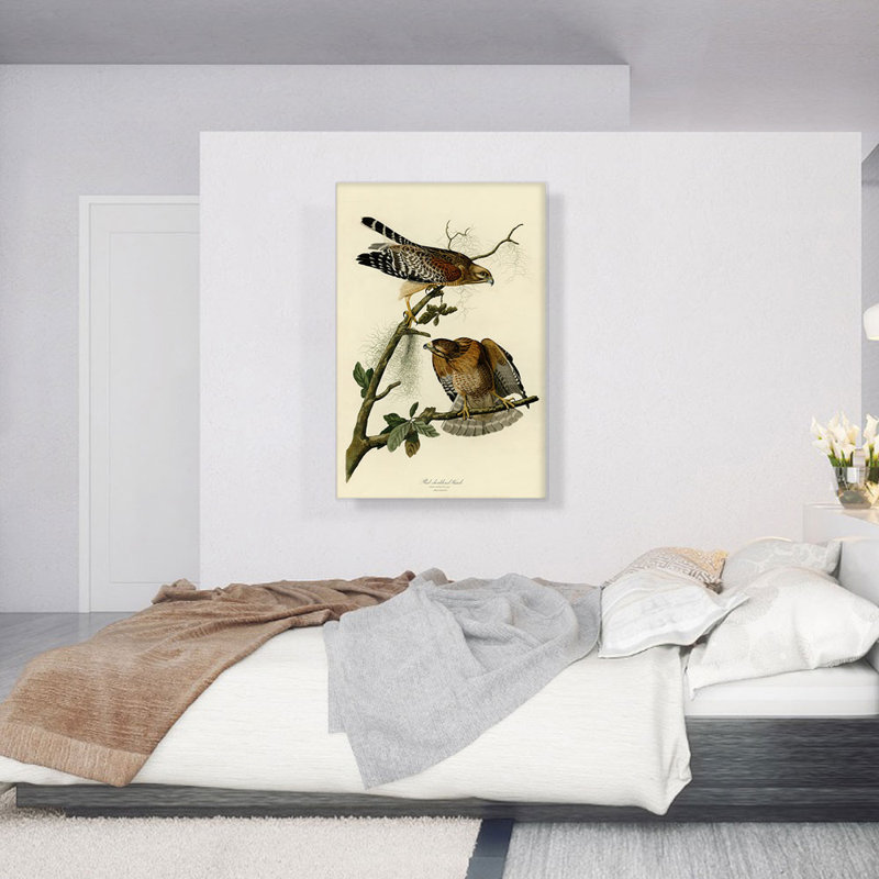 Reproduction d'art sur toile tendue, "Red Épaule rouge" par James Audubon, H 40 po x l 26 po x P 0,75 po