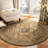 Malayah Performance Oriental Rug-1895682368