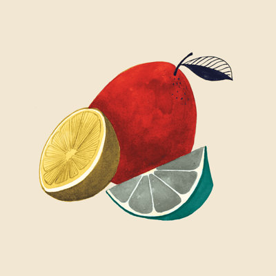 Three Fruits - Wrapped Canvas Painting