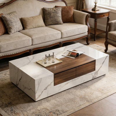 Modern simplicity Coffee Table with 2 Drawers