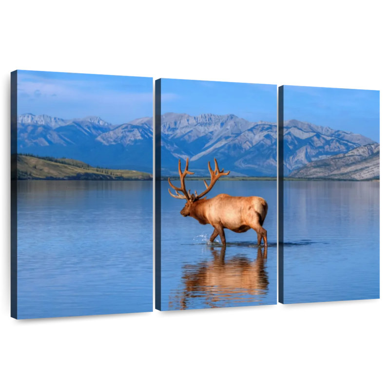 Jasper Lake Elk, 48" H x 74" W