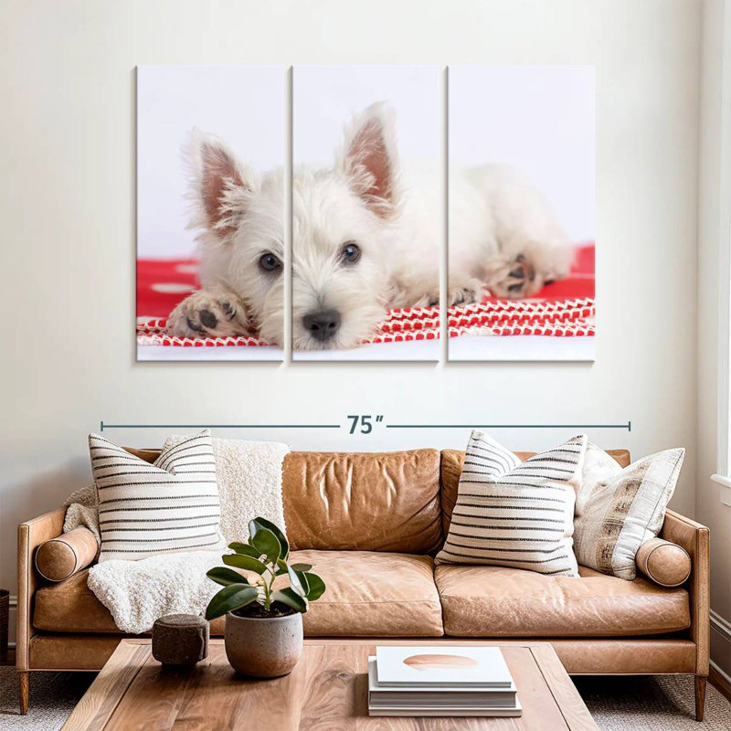 Brampt Blanco I, 42" H x 65" W