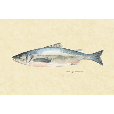 Catch Of The Day IV by Emma Scarvey - Painting on Canvas
