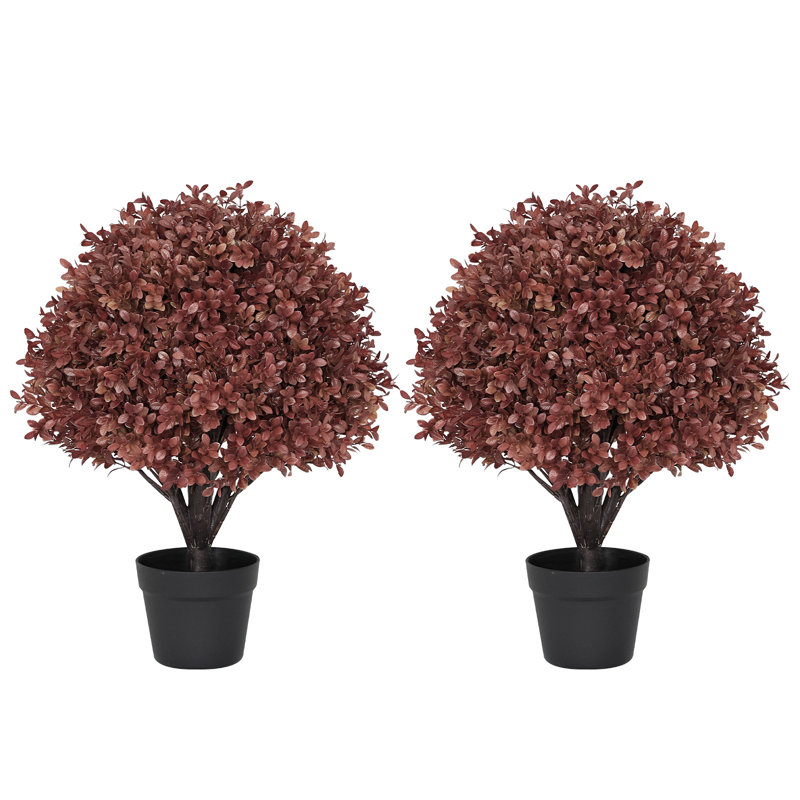 Arbre en pot 24 po, Rouge