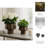 Aedin Planter Set Metal Scalloped Edge Design Home And Garden Decor Set Of 2 - 11", 8" Gold