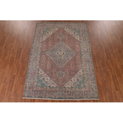 Distressed Wool Traditional Area Rug 7x10