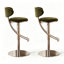 Chaise d'appoint verte et argentée (ensemble de 2)