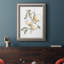 Watercolor Fruit Contour II - reproduction d'art sur toile-302913847-322055703