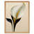 Light Brown Framed Paper is out of stock