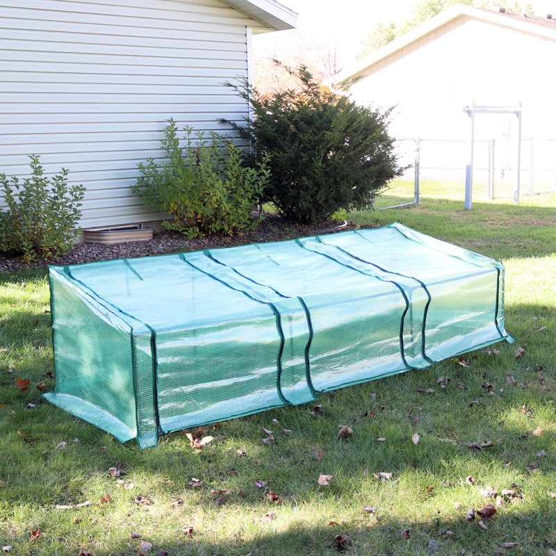 Gulianna 9' x 3' x 2' Outdoor Mini Cloche Greenhouse with a Green Cover
