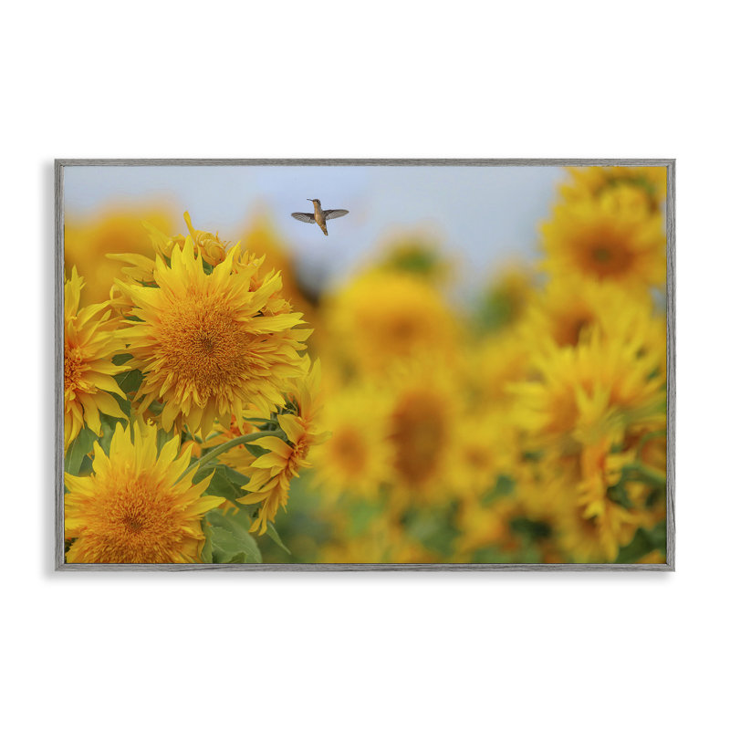 Joyeux colibri et tournesols, estampe numérique, design par Carrie Ann Grippo-Pike, H 12 po x l 18 po