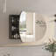 Soini 960mm W 600mm H Frameless Medicine Cabinet Mirror Fixed-1250304791