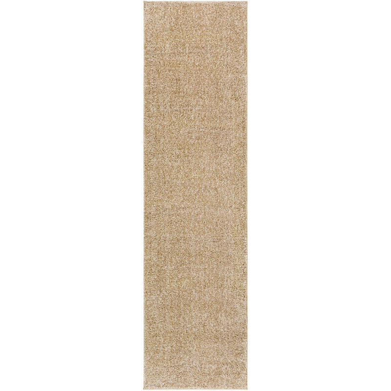 Aminna Indoor Rug, Runner 2'7" x 9'10"