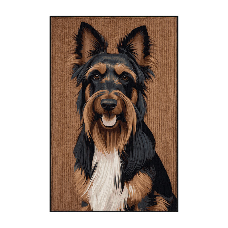  Tapis lavable pour chiens belges Tervuren, Tapis de couloir 2 pi x 4 pi