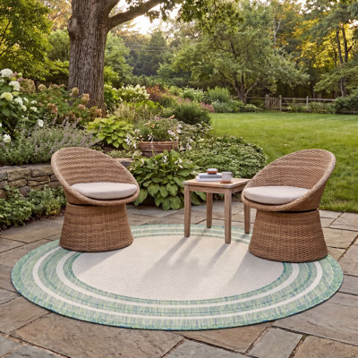 Chapa Machine Woven Striped Area Rug