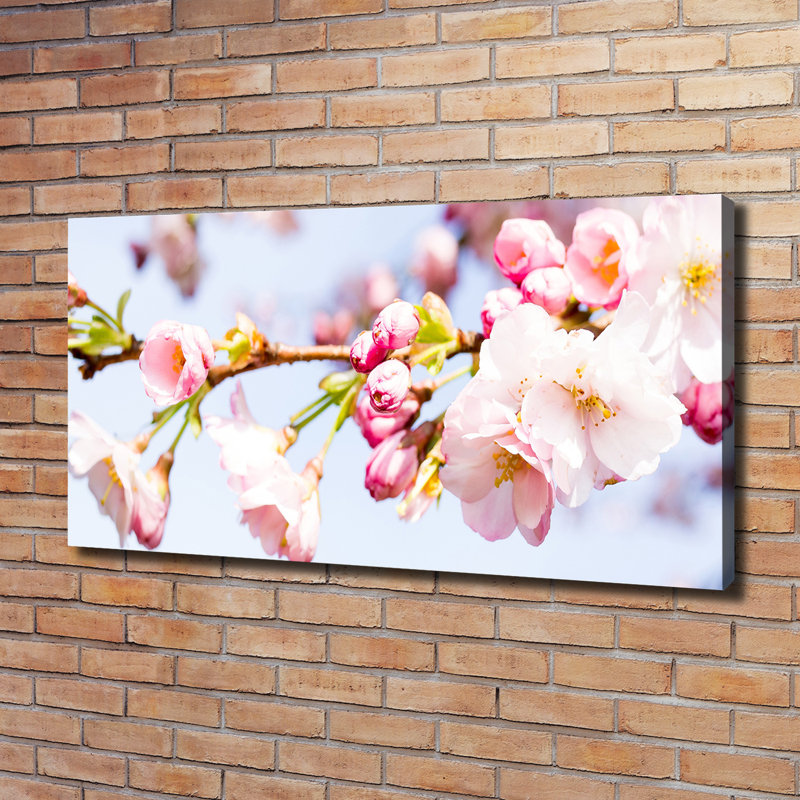 Cherry Blossoms - Wrapped Canvas Print