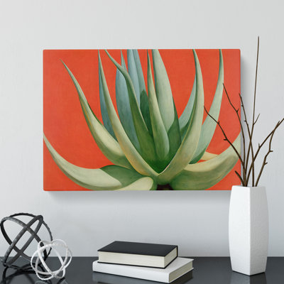 Compelling Aloe Vera Plant - Wrapped Canvas