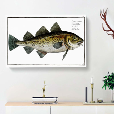 Cod Fish by M.E. Bloch - Wrapped Canvas