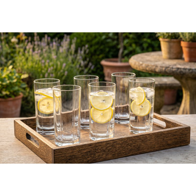 Ensemble de 6 verres à whisky Tango, 15 oz (440 ml) verres à base lourde pour l'eau, le jus, les cocktails et la bière - Durable Everyday Haag