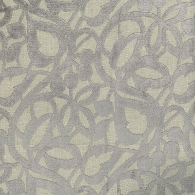 Abbeyshea Merits Velvet Fabric By The Yard