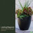 Marazzi Double Walled Tapered Pot Planter-84050115-89842158