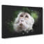 Macaque Monkey - Wrapped Canvas-61882156