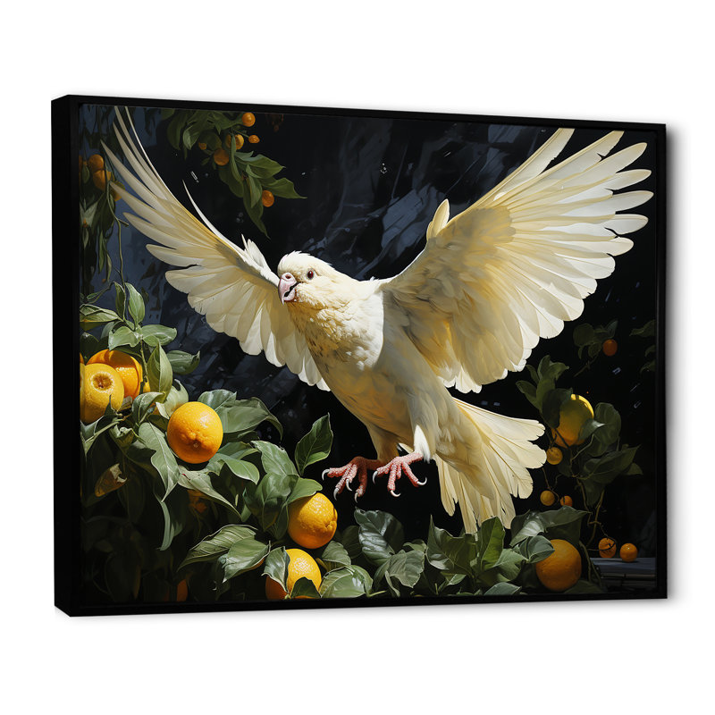 Colombe gracieuse sur toile, Cadre flottant noir, H 34 po x l 44 po