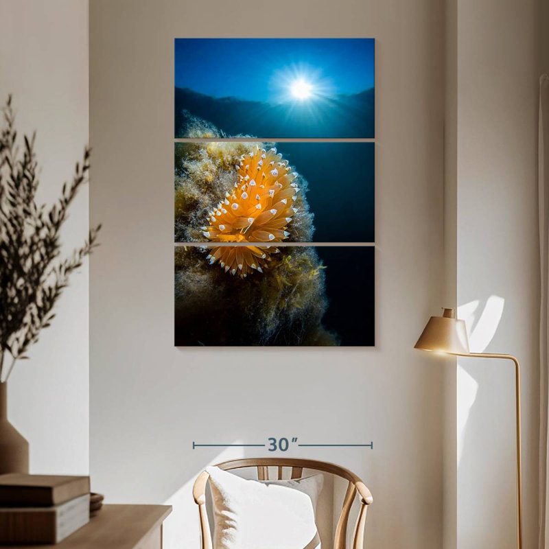 Brampt Crested Aeolis, 65" H x 42" W
