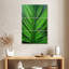 Harnek Leaf Lines-108546030