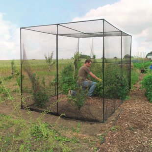 79.2'' W x 109.2'' D Fruit Cage