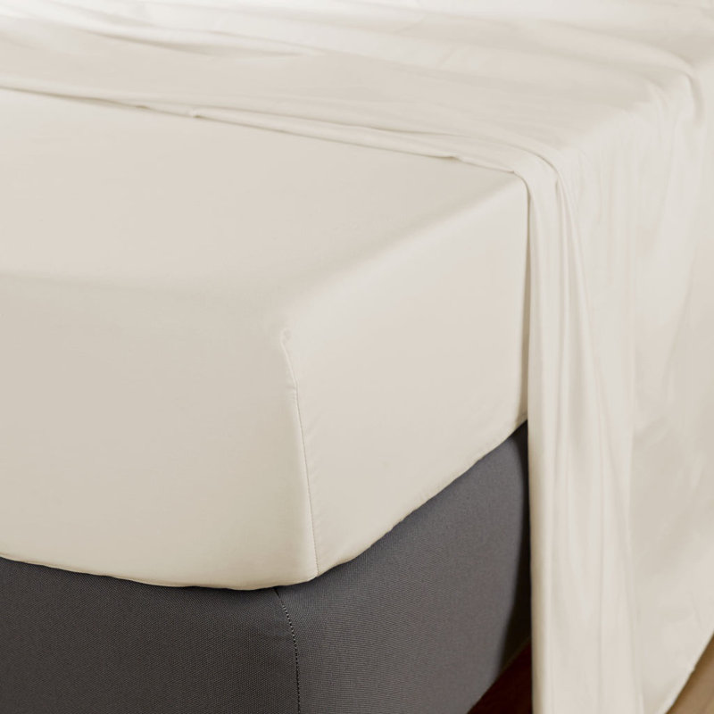 Avont 100% Cotton Standard Flat Sheet, Kingsize (5'), Ivory